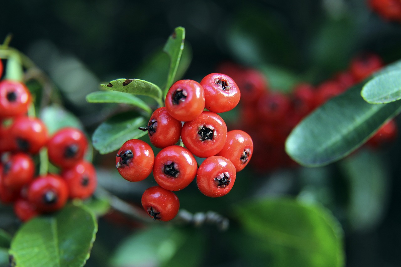 实的揭露 实的揭露