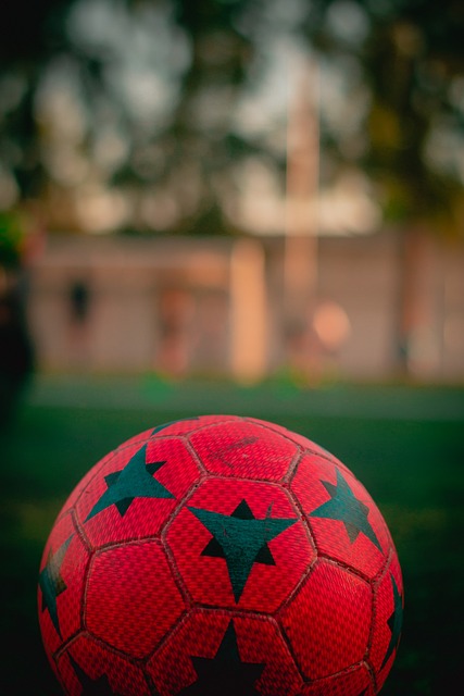 一个典型的 一个典型的