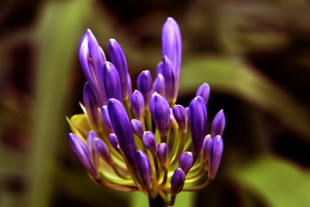 但最终双方 但最终双方