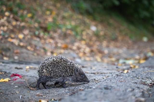 中期实现了 中期实现了