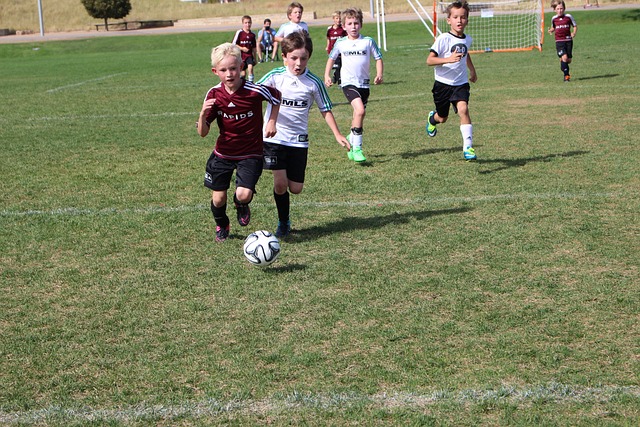 供了借鉴意 供了借鉴意