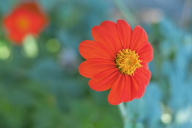 落后两位数 落后两位数