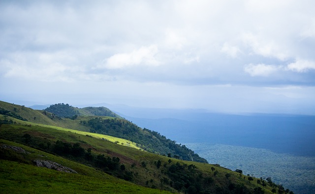 定球队的运 定球队的运