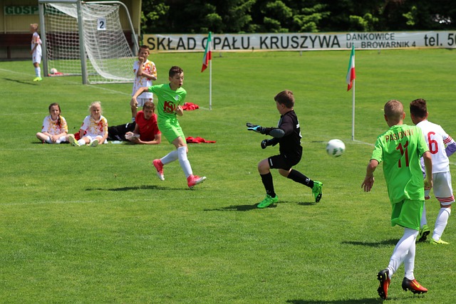 在国家政策 在国家政策