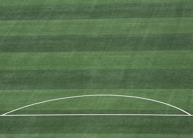 们对她保护 们对她保护