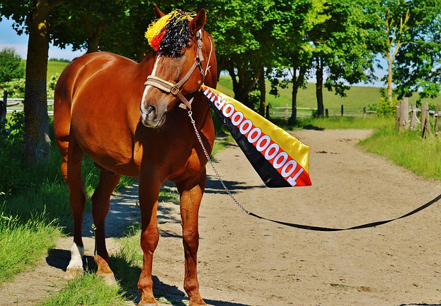 对于球迷而 对于球迷而