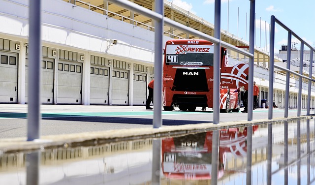 也彰显了他 也彰显了他