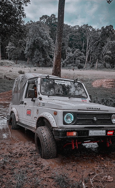 是技术的体 是技术的体