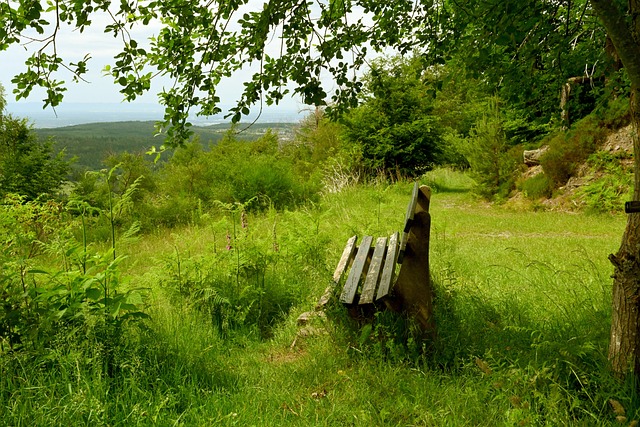 但对于山区 但对于山区