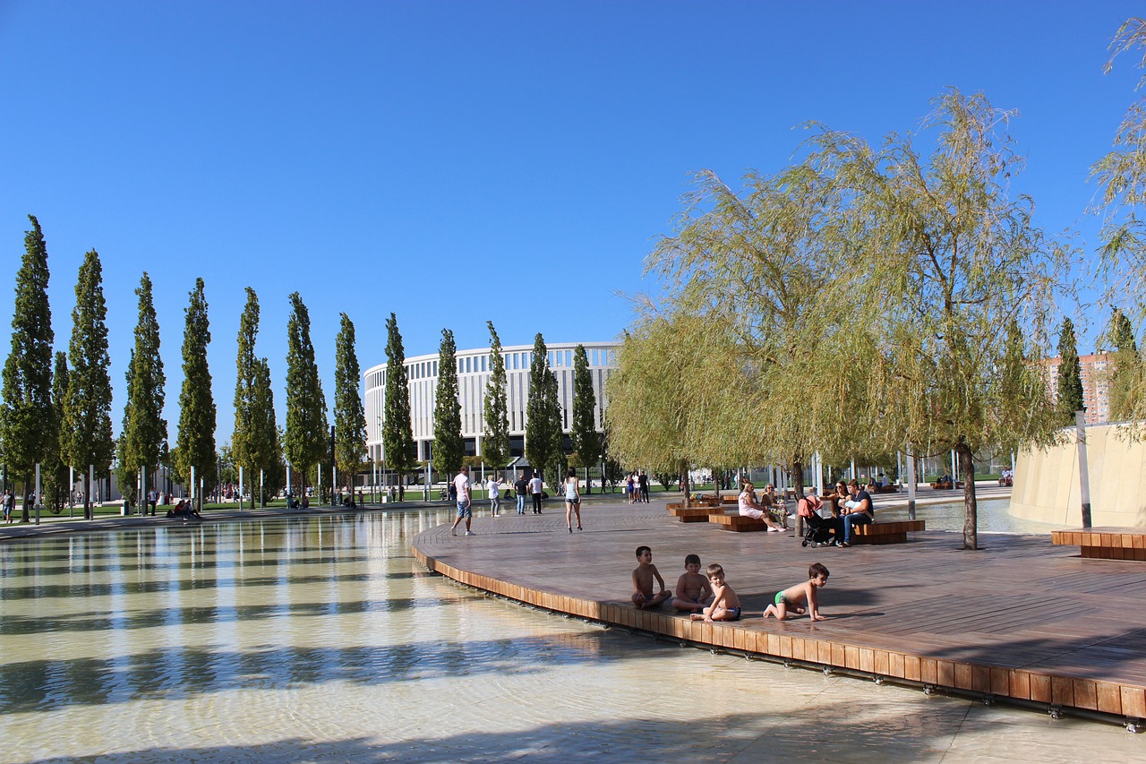 的入场券 的入场券